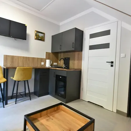 Stone 3 Studyjny Jedno Pokojowy O Pelnym Komforcie ,idealny Dla 1 Osoby Апартаменты Висла